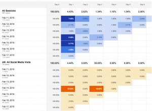 Cohort Analysis 