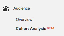 cohort analysis