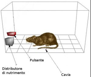 le armi della persuasione