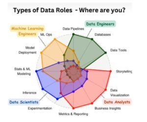 data roles