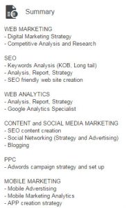 seo linkedin summary